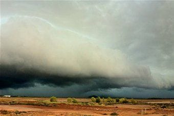 Spring rain for Australia's north to hold cattle prices high